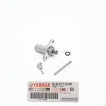 Yamaha R125 Mt125 Eksantrik Gergi Otomatiği resmi