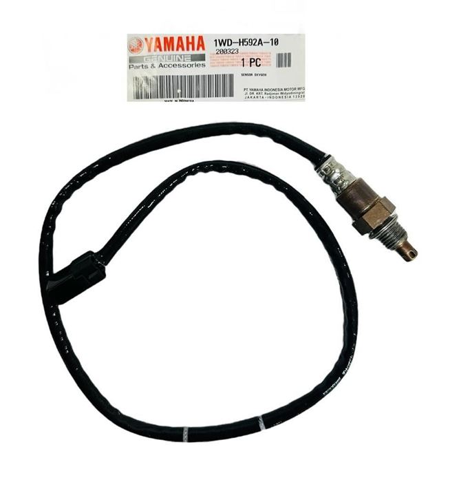 R25-MT25 OKSİJEN SENSÖR 2015-2024 resmi