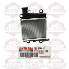 Nmax 125 Nmax 155 Radyatör Yeni Kasa