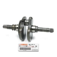 Xmax 250 Krank