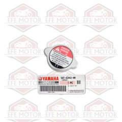 Yamaha R25 Mt25 Radyatör Kapağı
